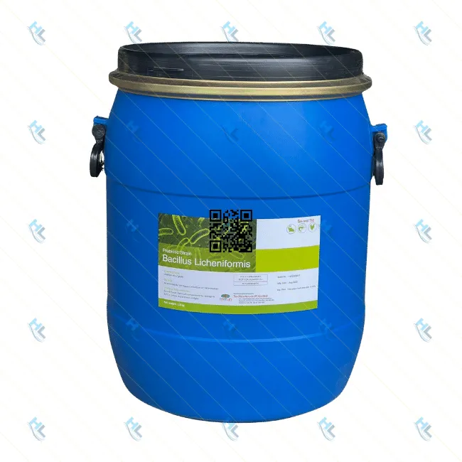 Vi sinh làm sạch nước, hỗ trợ tiêu hóa - BACILLUS LICHENIFORMIS